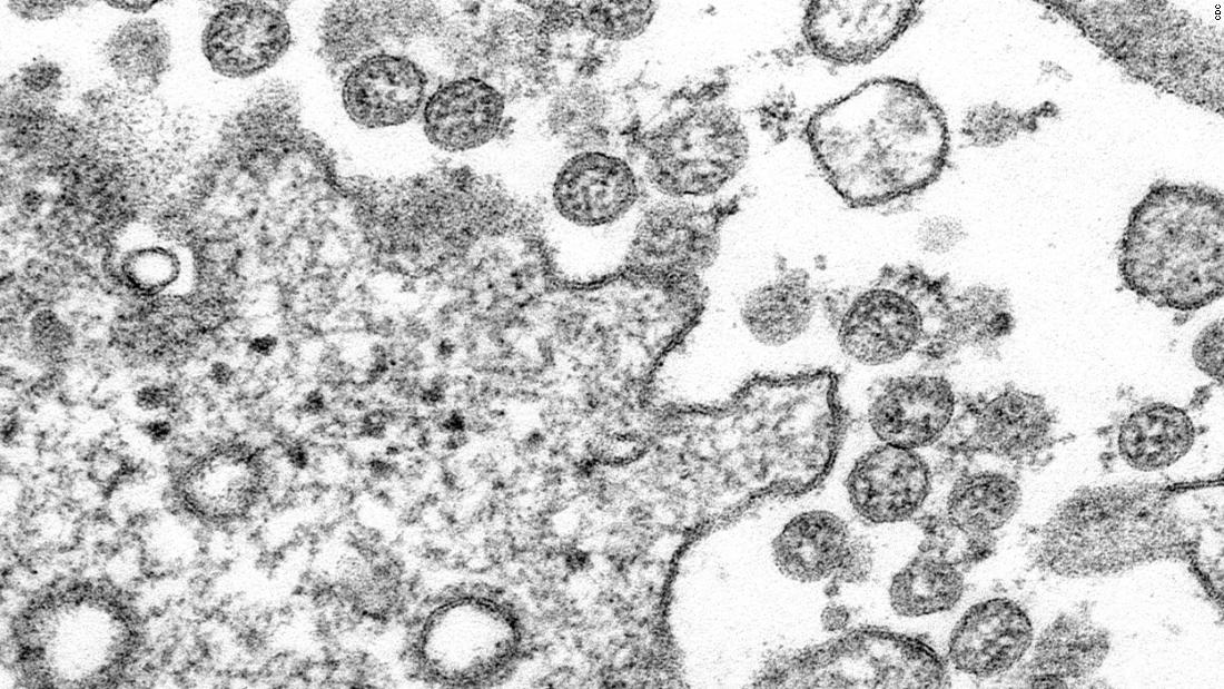 La Cina teme la seconda ondata di infezioni da coronavirus: aggiornamenti in tempo reale