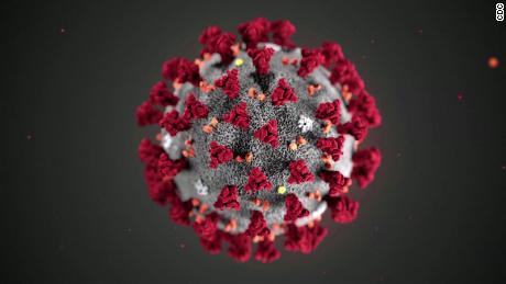 Cosa devi sapere sul coronavirus lunedì 4 maggio