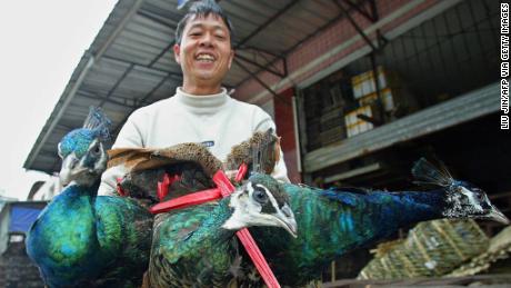 La Cina ha reso illegale il consumo di animali selvatici dopo l'epidemia di coronavirus. Ma terminare il commercio non sarà facile