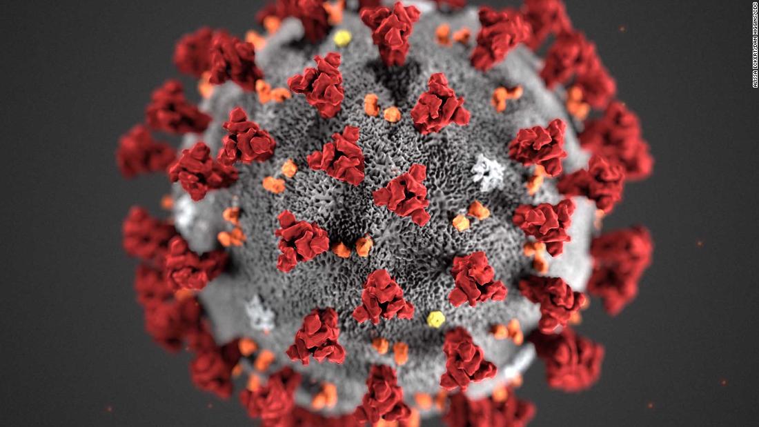 Aggiornamenti dal vivo del coronavirus: gli Stati Uniti raggiungono mezzo milione di casi
