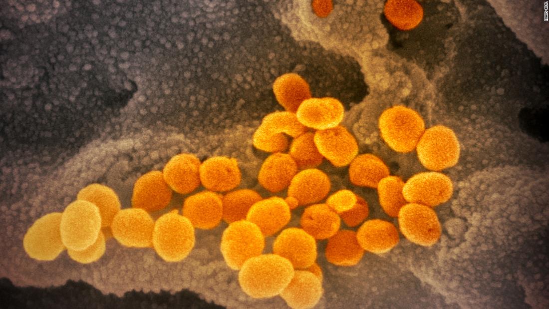 Aggiornamenti live di Coronavirus: decessi oltre 150.000 in tutto il mondo