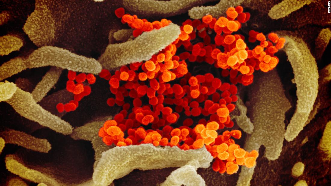 Aggiornamenti live di coronavirus: i casi superano i 2,3 milioni in tutto il mondo