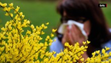 Allergie e coronavirus: cosa devi fare ora per proteggere i tuoi polmoni