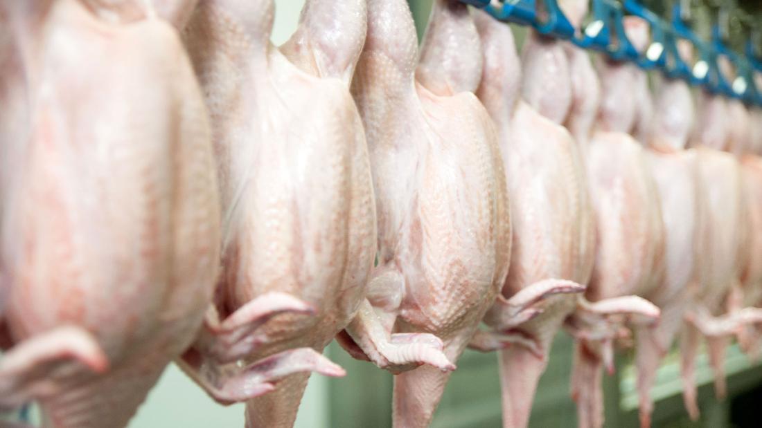 2 milioni di polli saranno uccisi a causa della mancanza di dipendenti negli impianti di lavorazione