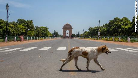 Un cane randagio passa davanti a una porta vuota storica dell'India il 30 marzo 2022 a Nuova Delhi, in India. 
