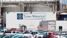 Operai e funzionari dicono troppo poco e troppo tardi dopo la chiusura della fabbrica di carne di maiale Tyson Waterloo: `` Tutto ciò di cui parlavano era la produzione ''