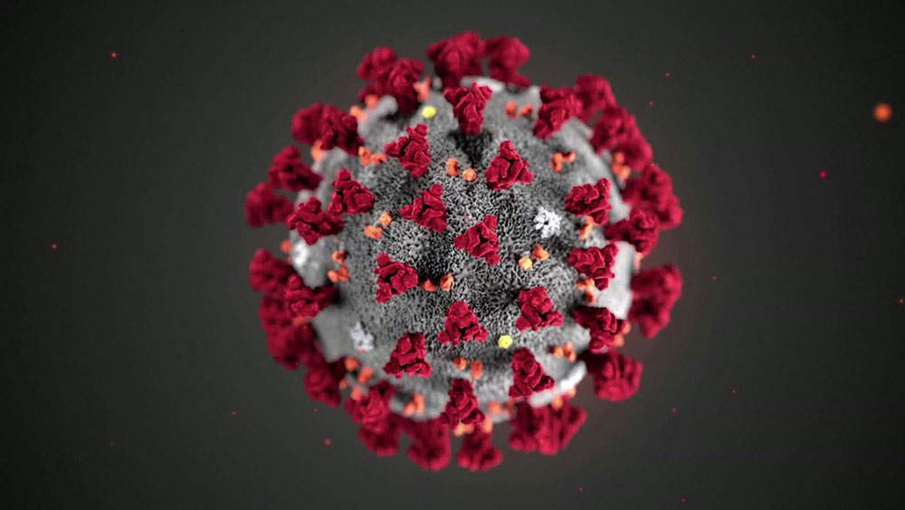 Questa illustrazione, creata presso i Centers for Disease Control and Prevention (CDC), rivela la morfologia ultrastrutturale presentata dai coronavirus. 