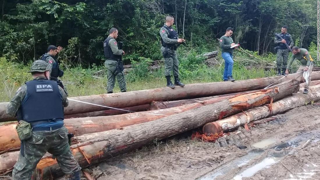 Wood illegally removed from a reserve in Para, Brazil on February 20, 2023.