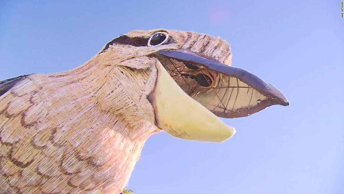 La scultura di kookaburra gigante porta gioia - e molte risate - in una città australiana