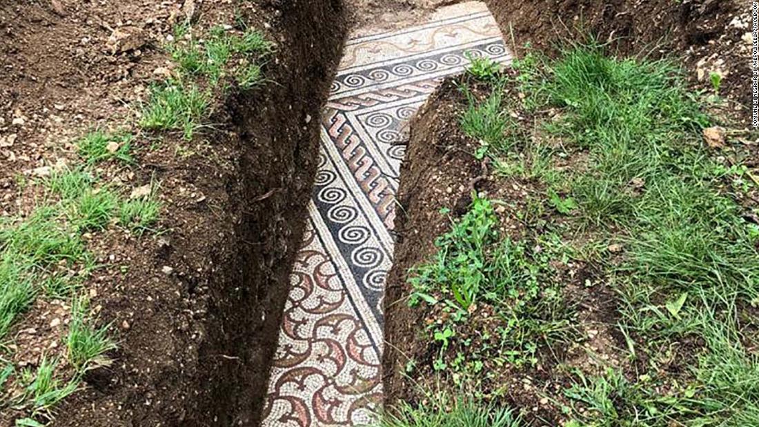 Pavimento a mosaico romano trovato sotto le viti nel nord Italia