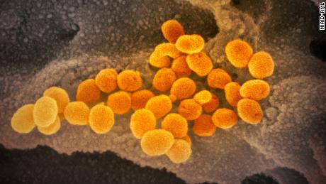 Esperto di malattie infettive: siamo solo al secondo round della pandemia