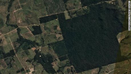 Foto satellitare di Itaituba prima della deforestazione il 20 giugno 2023